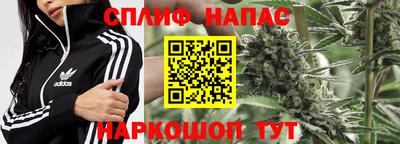 ПСИЛОЦИБИНОВЫЕ ГРИБЫ Краснодар