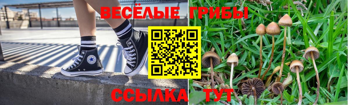Псилоцибиновые грибы мухоморы  Галлюциногенные грибы GOLDEN TEACHER  Вход с VPN  Калач-на-Дону 
